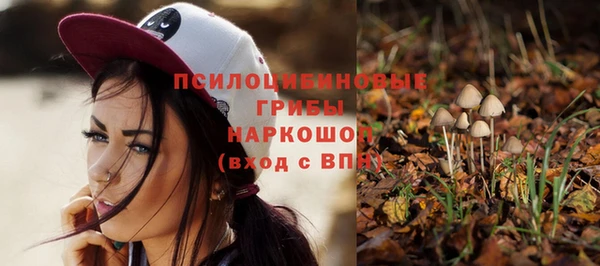mdpv Беломорск
