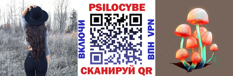Галлюциногенные грибы Psilocybine cubensis  дарнет шоп  Красный Сулин 